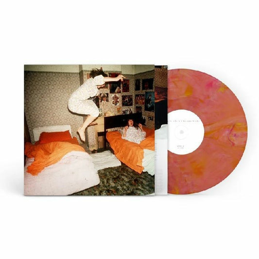 I Became Birds - Vinyl LP vinyl record cover