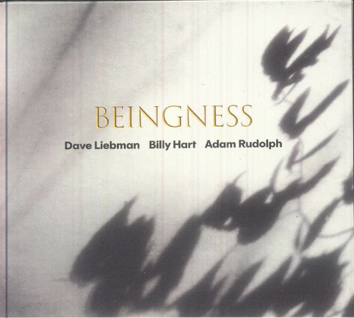 Beingness - CD CD cover