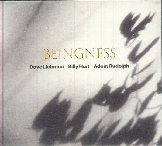 Beingness - CD CD cover
