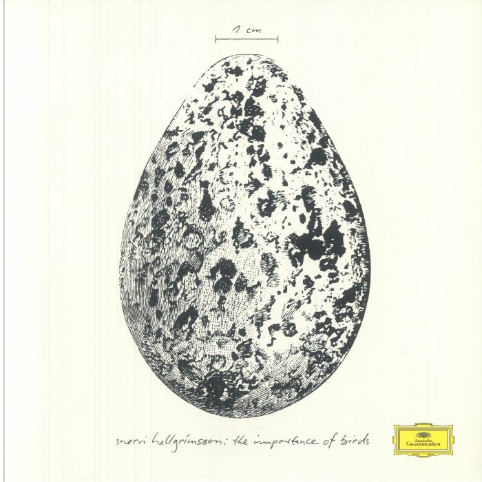 The Importance Of Birds - Vinyl EP vinyl record cover