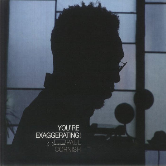 You're Exaggerating! - Vinyl LP vinyl record cover