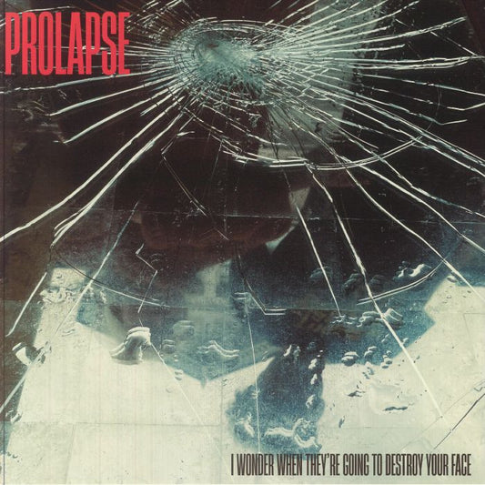 I Wonder When They're Going To Destroy Your Face - Vinyl LP vinyl record cover