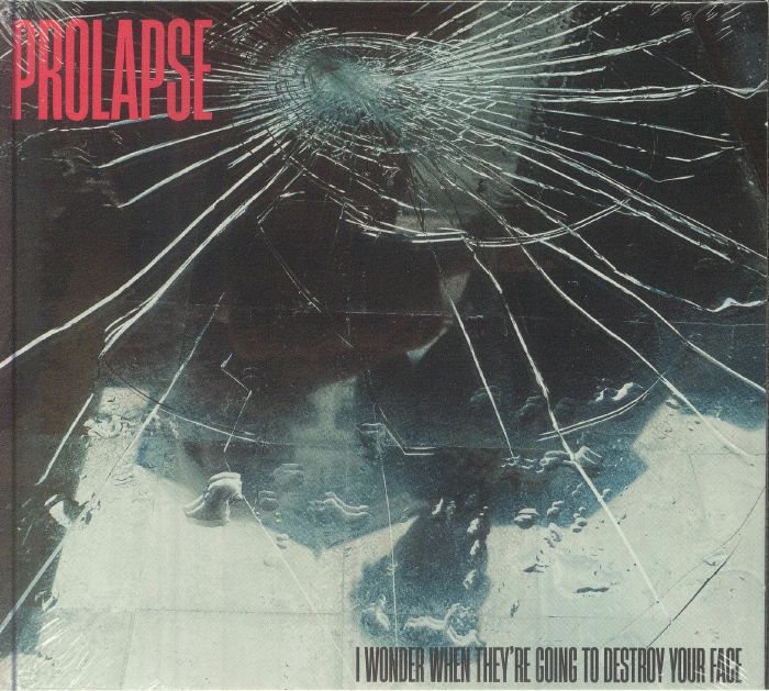 I Wonder When They're Going To Destroy Your Face - CD CD cover