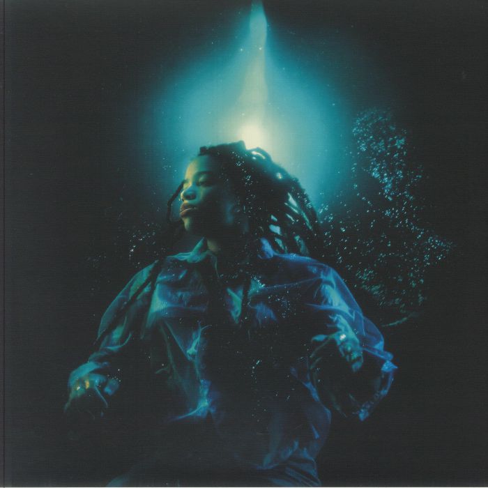 A Room with a Door That Closes - Vinyl LP vinyl record cover