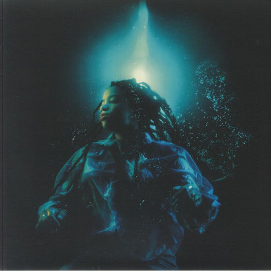 A Room with a Door That Closes - Vinyl LP vinyl record cover