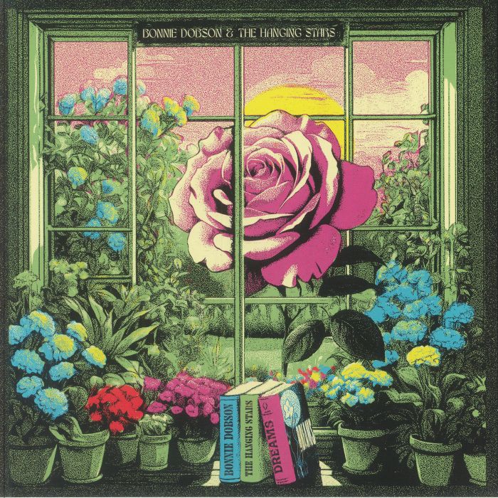 Dreams - Vinyl LP vinyl record cover