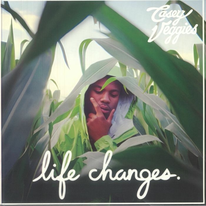 Life Changes - 2xLP vinyl record cover