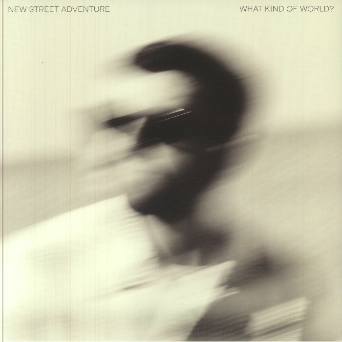 What Kind Of World? - Vinyl LP vinyl record cover
