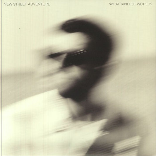 What Kind Of World? - Vinyl LP vinyl record cover