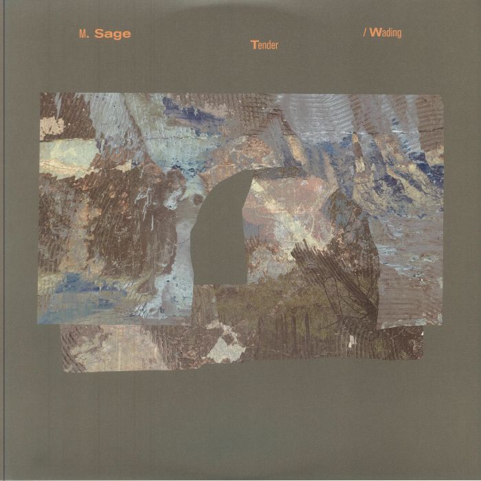 Tender / Wading - Vinyl LP vinyl record cover