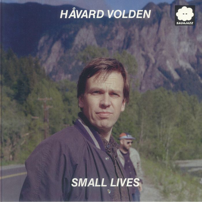 Small Lives - Vinyl LP vinyl record cover