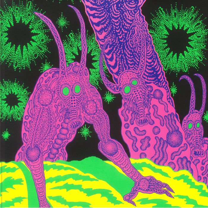 Abomination Revealed At Last - Vinyl LP vinyl record cover