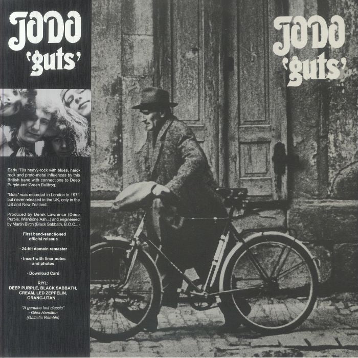 Guts - Vinyl LP vinyl record cover