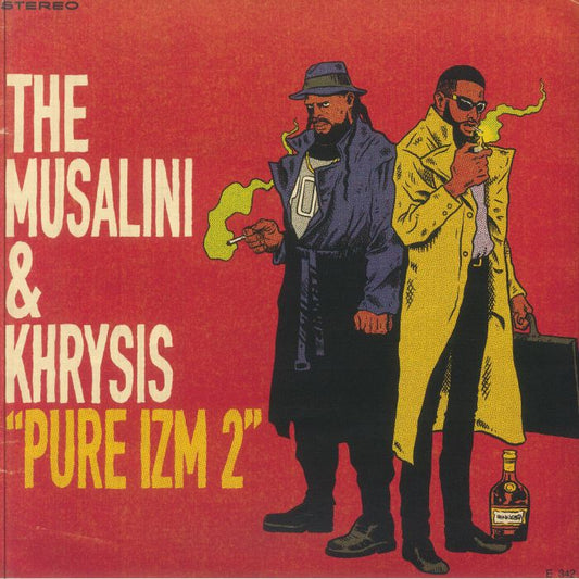 Pure IZM 2 - Vinyl LP vinyl record cover