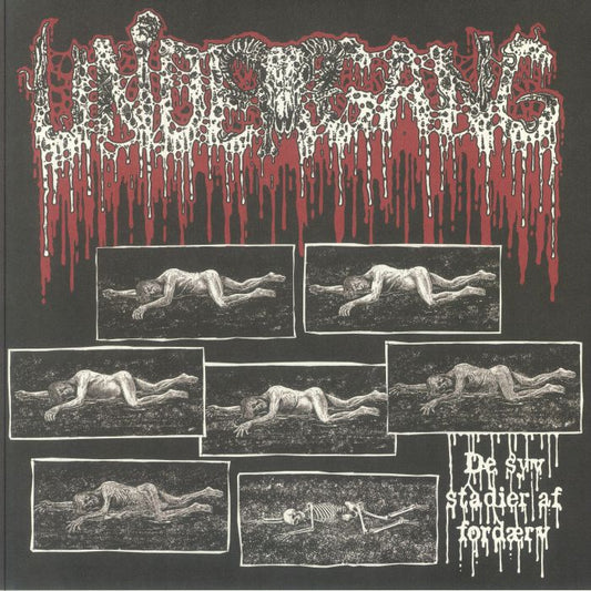 De Syv Stadier Af Fordaerv - Vinyl EP vinyl record cover