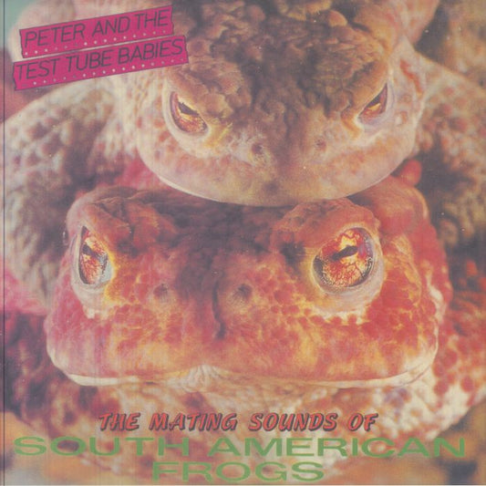 The Mating Sounds Of South American Frogs - Vinyl LP vinyl record cover