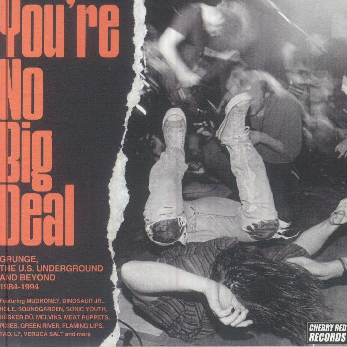 You're No Big Deal: Grunge - The US Underground 1984-1994 - 4CD CD cover