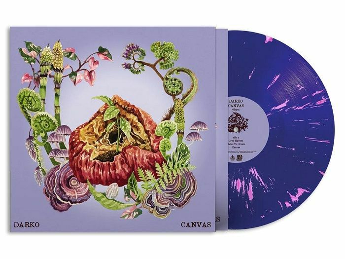 Canvas - Purple Marbled Vinyl LP vinyl record cover
