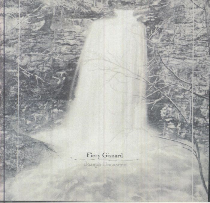 Fiery Gizzard - CD CD cover