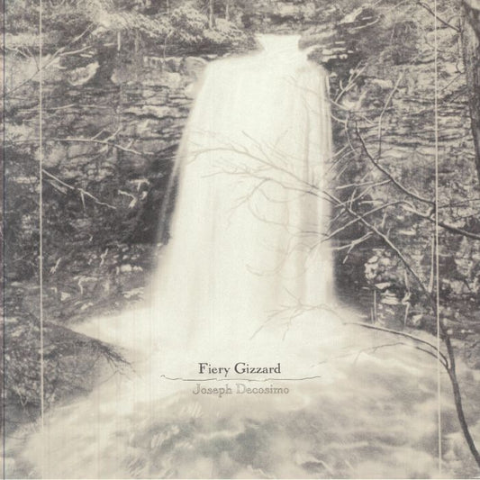 Fiery Gizzard - Vinyl LP vinyl record cover