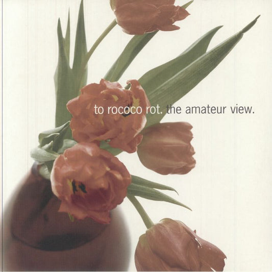 The Amateur View (Expanded Edition) - Limited Edition 2xLP vinyl record cover