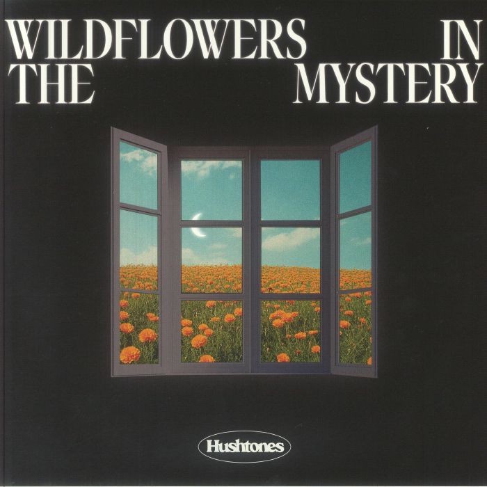 Wildflowers In The Mystery - Orange Vinyl LP vinyl record cover