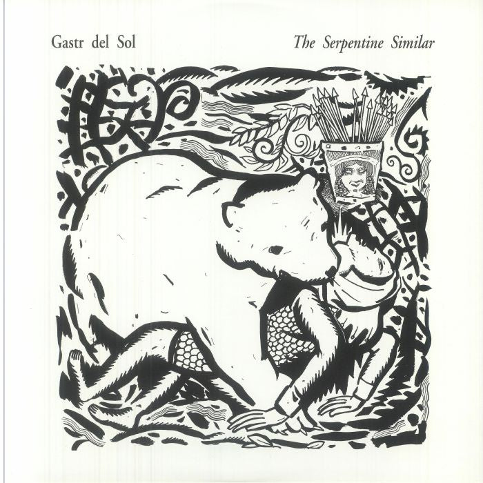 The Serpentine Similar - Vinyl LP vinyl record cover