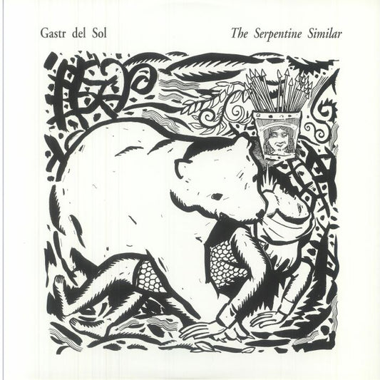 The Serpentine Similar - Vinyl LP vinyl record cover