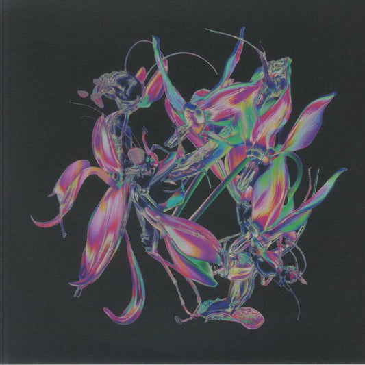 Drone - Vinyl EP vinyl record cover