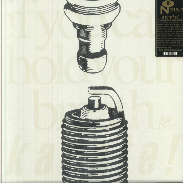 If You Can Hold Your Breath - 5xLP Box Set vinyl record cover
