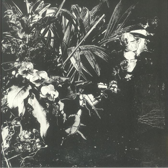 Orchid Alto - Vinyl LP vinyl record cover
