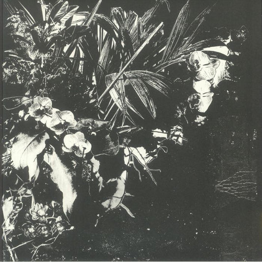 Orchid Alto - Vinyl LP vinyl record cover