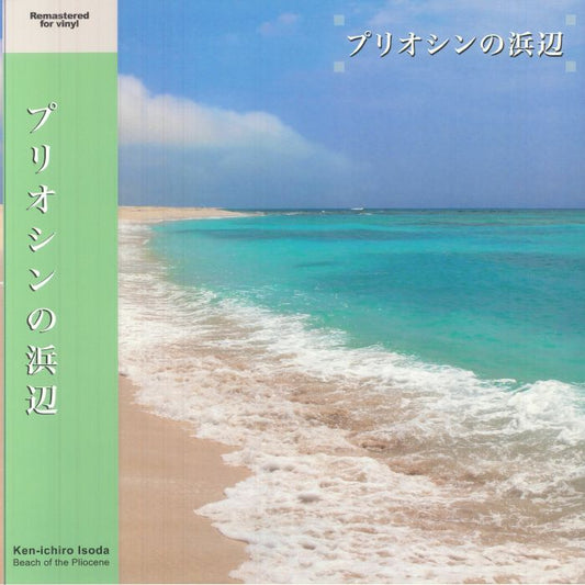 Beach Of The Pliocene - Remastered 2xLP vinyl record cover