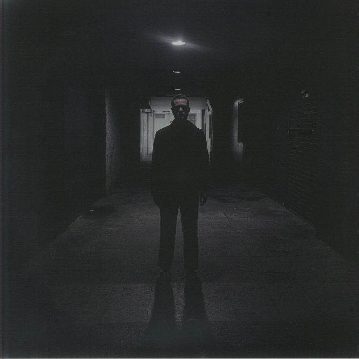Domain - Vinyl LP vinyl record cover