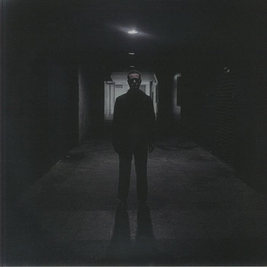 Domain - Vinyl LP vinyl record cover