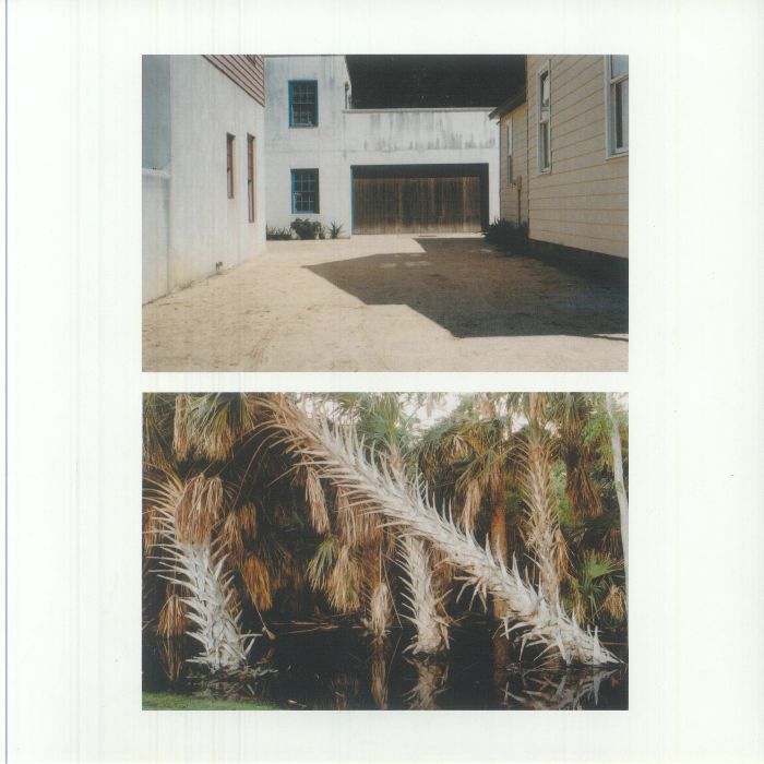 The Vestige - Vinyl LP vinyl record cover