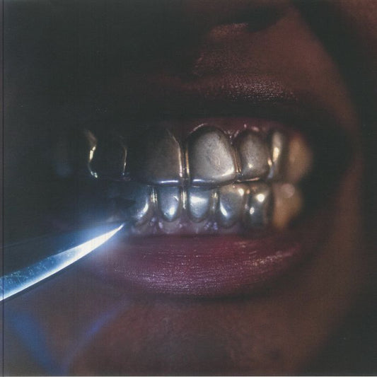 I'm Nice Now - Vinyl LP vinyl record cover