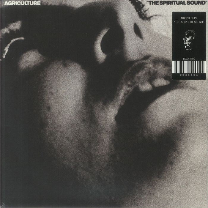 The Spiritual Sound - Vinyl LP vinyl record cover