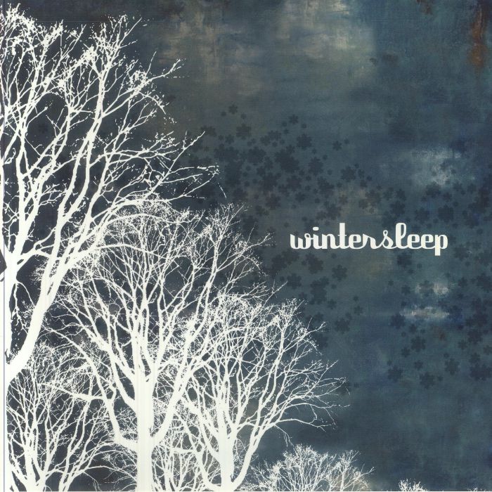 Wintersleep - Clear & Blue Marbled Vinyl LP vinyl record cover