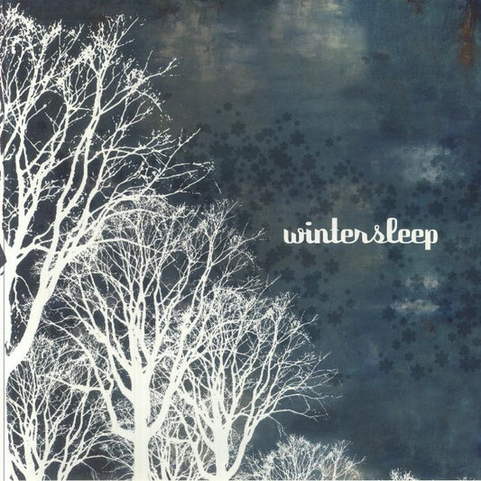 Wintersleep - Clear & Blue Marbled Vinyl LP vinyl record cover