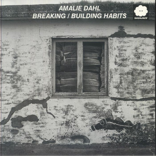 Breaking/Building Habits - Vinyl LP vinyl record cover