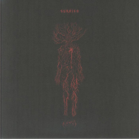 Hypostasis - Vinyl LP vinyl record cover