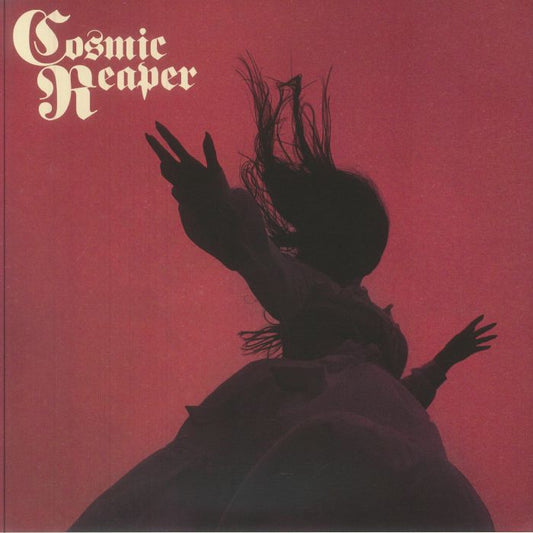 Bleed The Wicked, Drown The Damned - Vinyl LP vinyl record cover