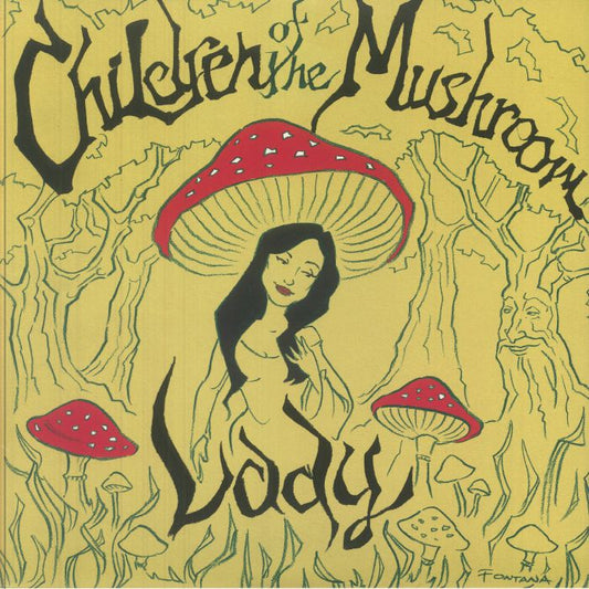 Lady - Vinyl LP vinyl record cover