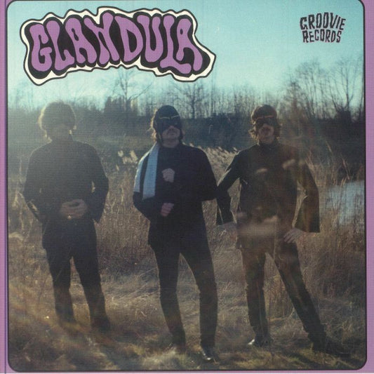 Amigo De Verdad - Vinyl Single vinyl record cover