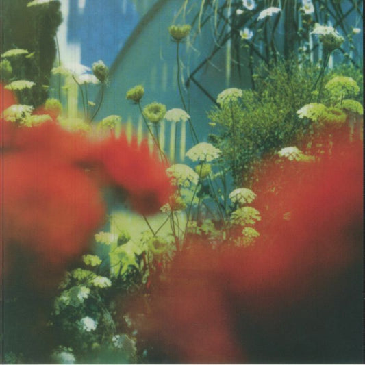 The Haze - Vinyl LP vinyl record cover