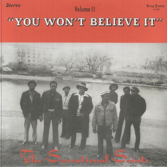 You Won't Believe It - Vinyl LP vinyl record cover
