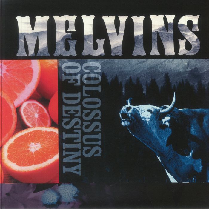 Colossus Of Destiny - 2xLP vinyl record cover