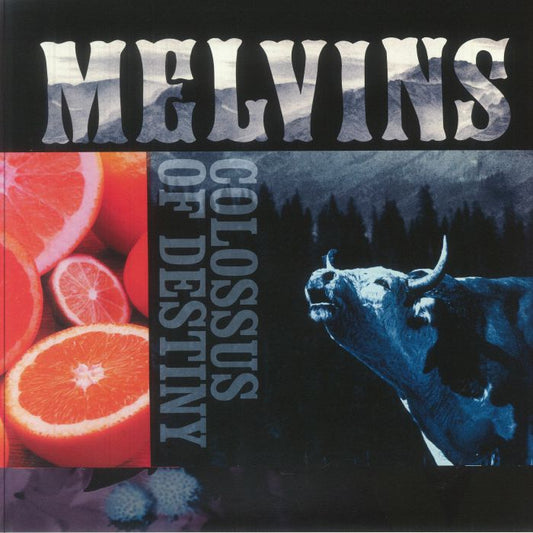 Colossus Of Destiny - 2xLP vinyl record cover