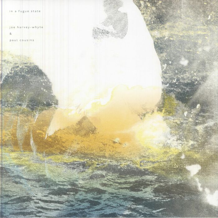 In A Fugue State - Vinyl LP vinyl record cover